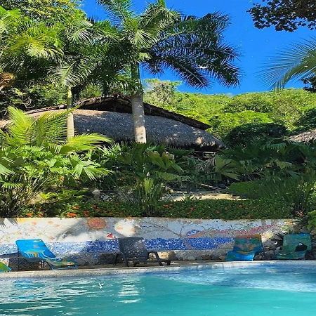 Monte Verde Hostal 엘 자이노 외부 사진