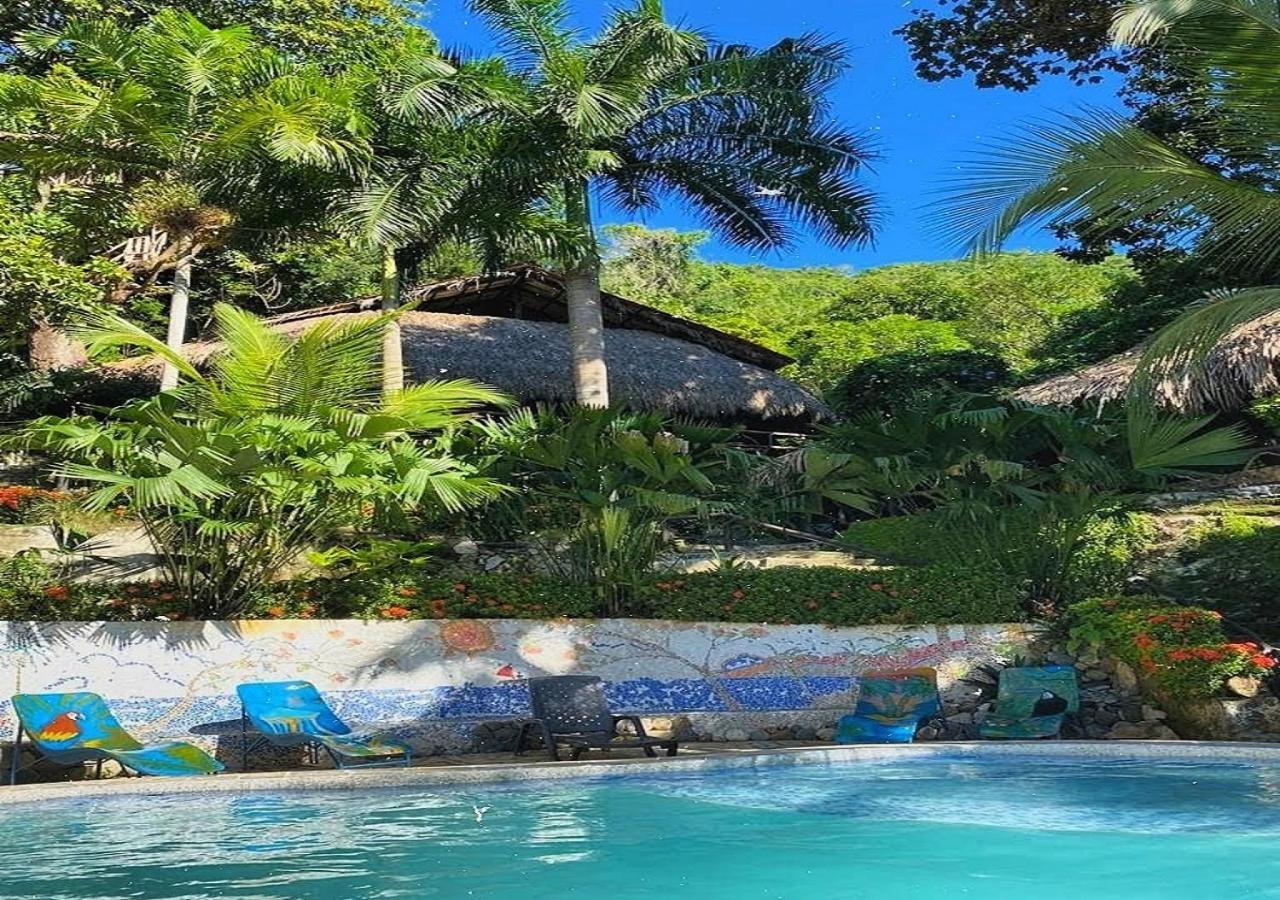 Monte Verde Hostal 엘 자이노 외부 사진
