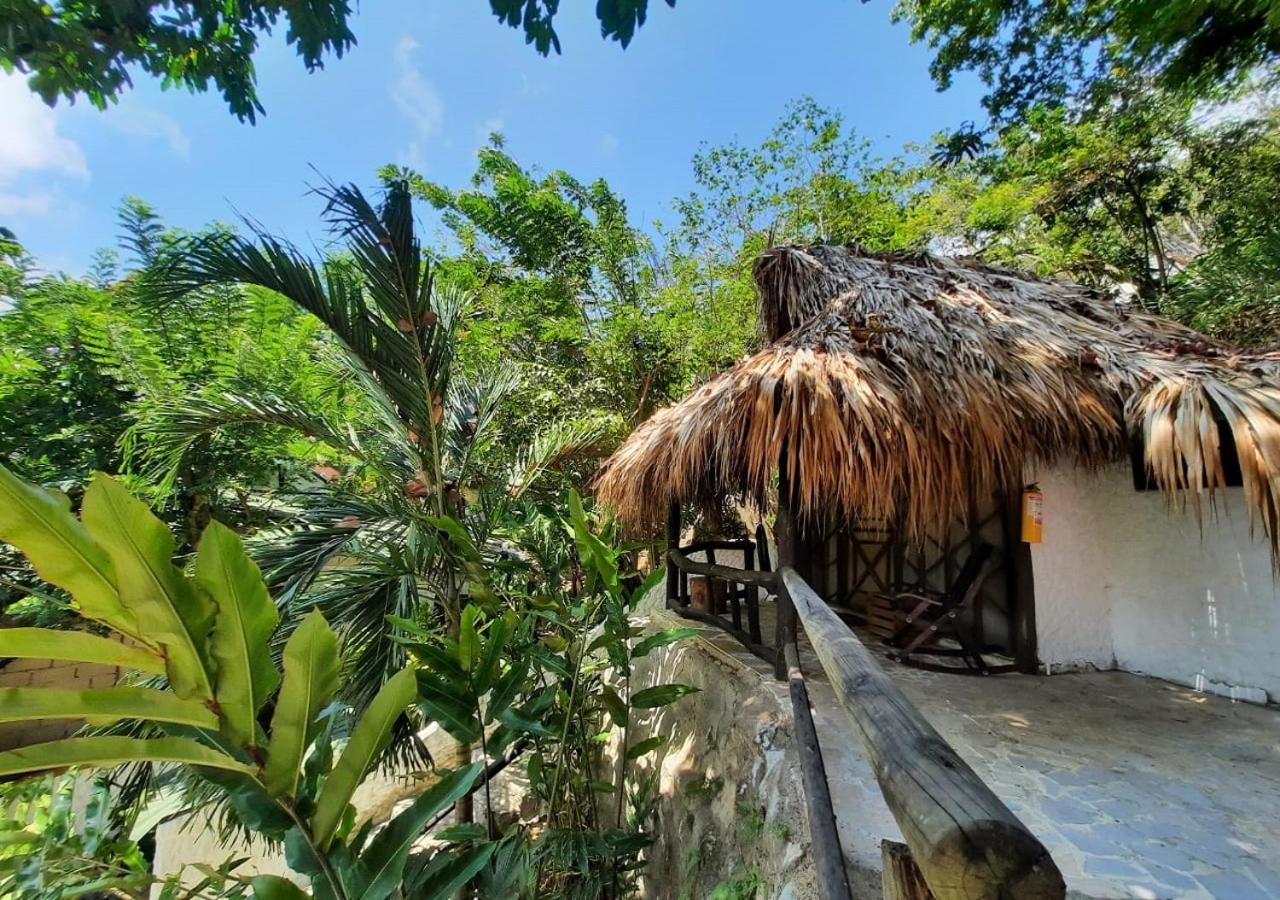 Monte Verde Hostal 엘 자이노 외부 사진
