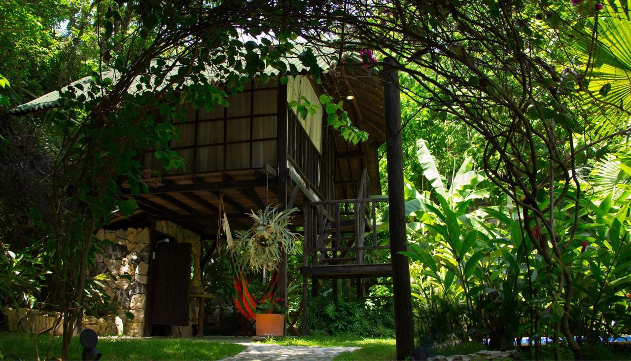 Monte Verde Hostal 엘 자이노 외부 사진